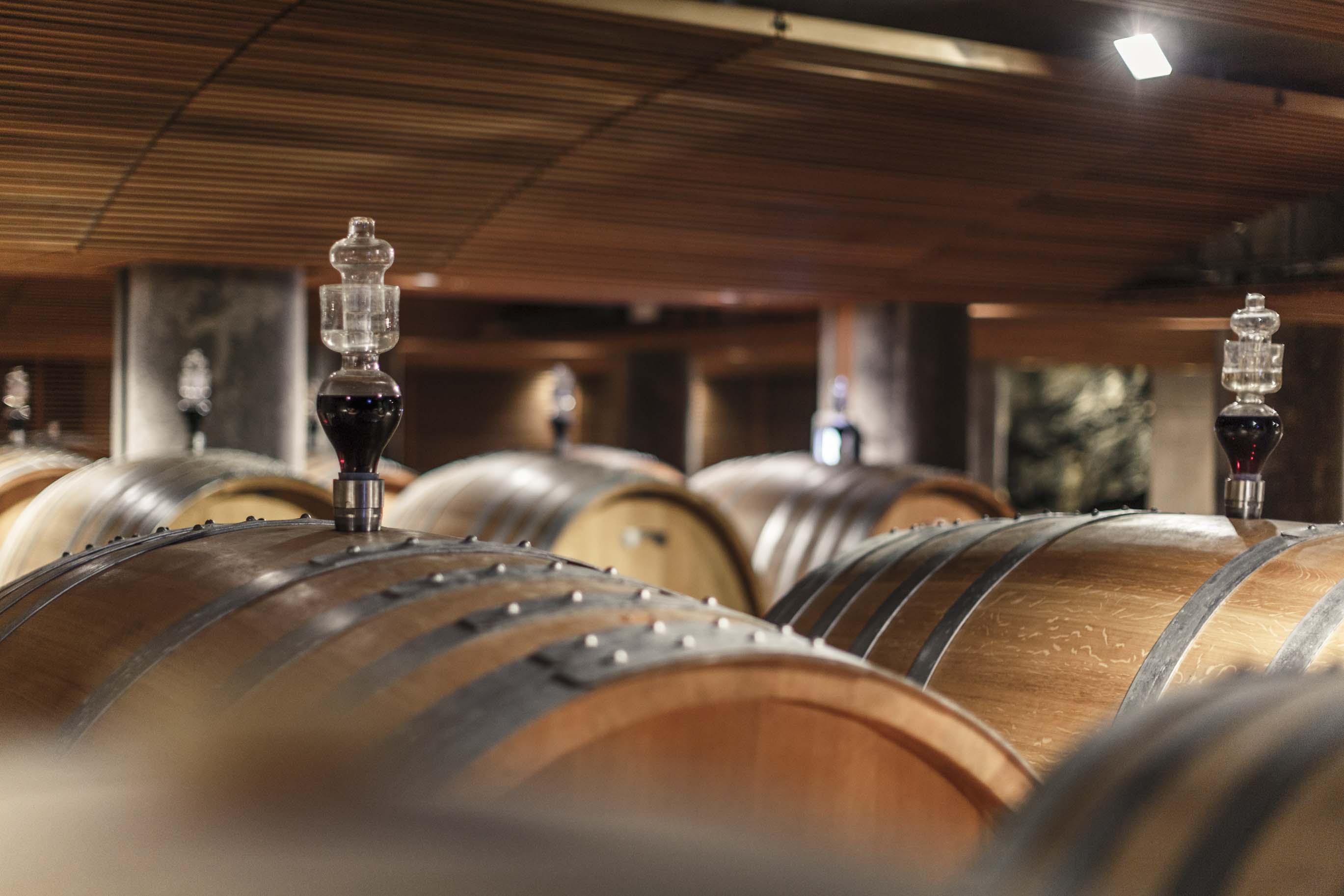 vintage vinification